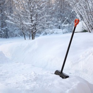 Что такое снегозадержание и чем это полезно для сада