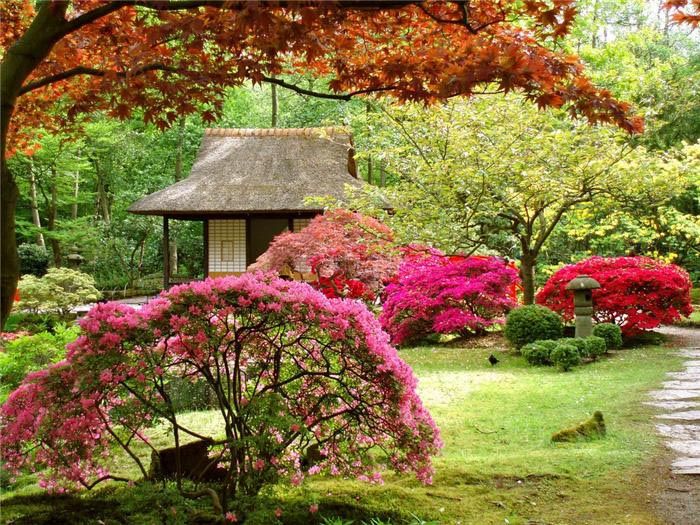 Японский стиль в ландшафтном дизайне: элементы декора и растения