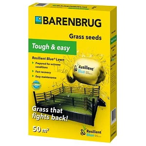 Насіння газонної трави Посухостійка Barenbrug Resilient Blue Lawn - 1 кг