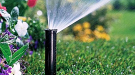 Як правильно поливати сад у спекотний період